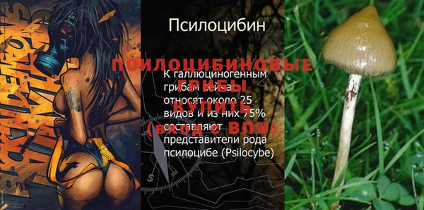 трава Надым