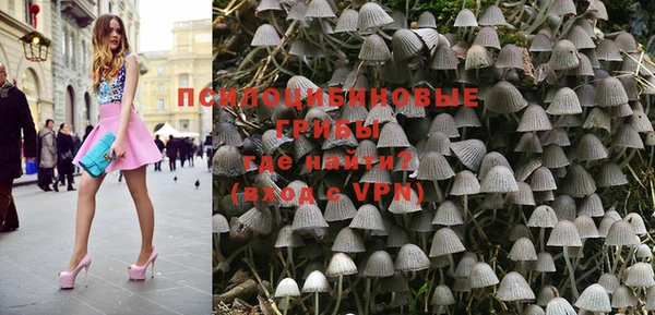 трава Михайловск